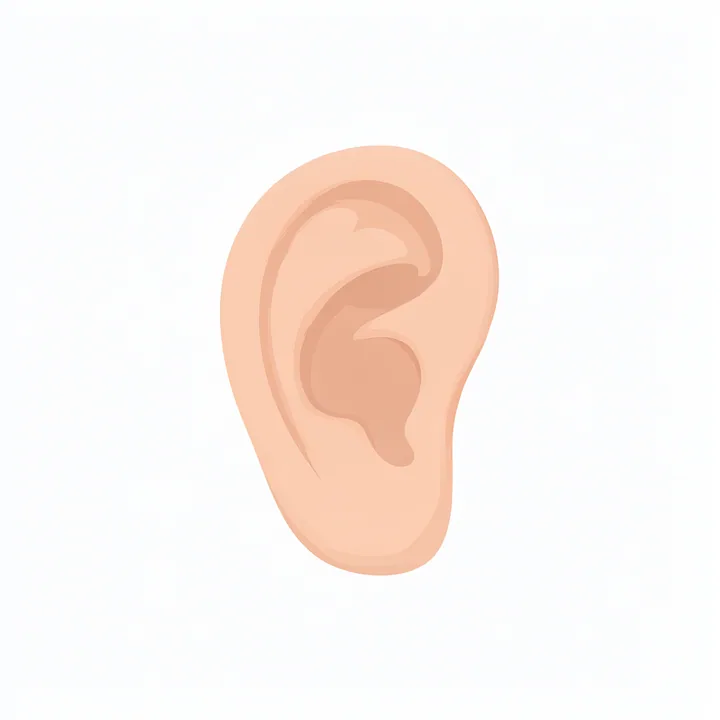 Ear
