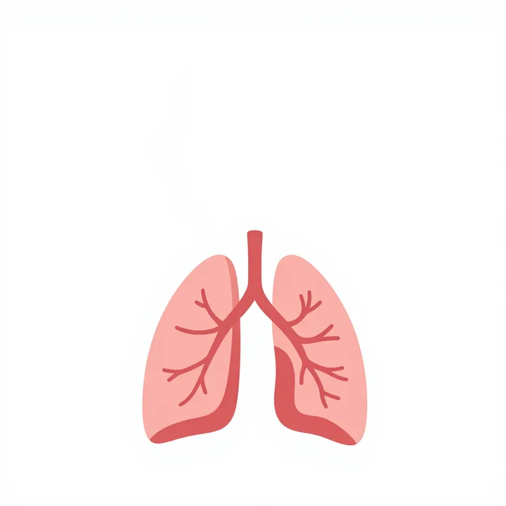 Respiratory system