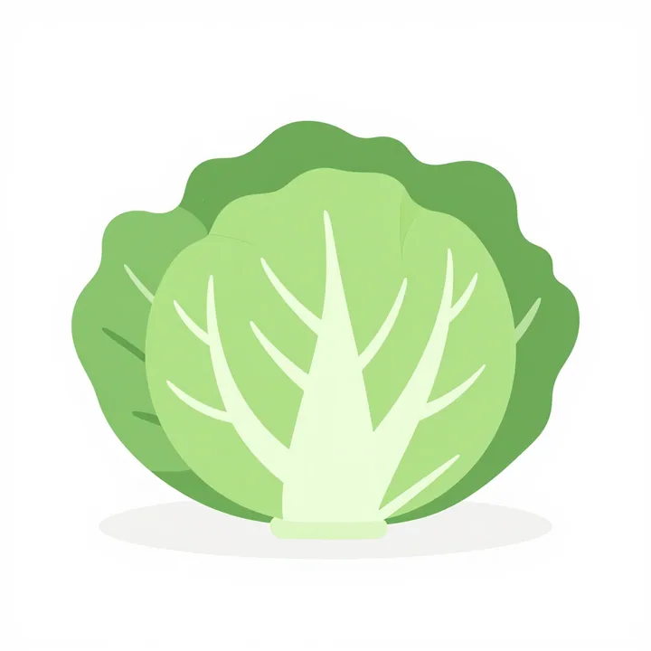 Cabbage