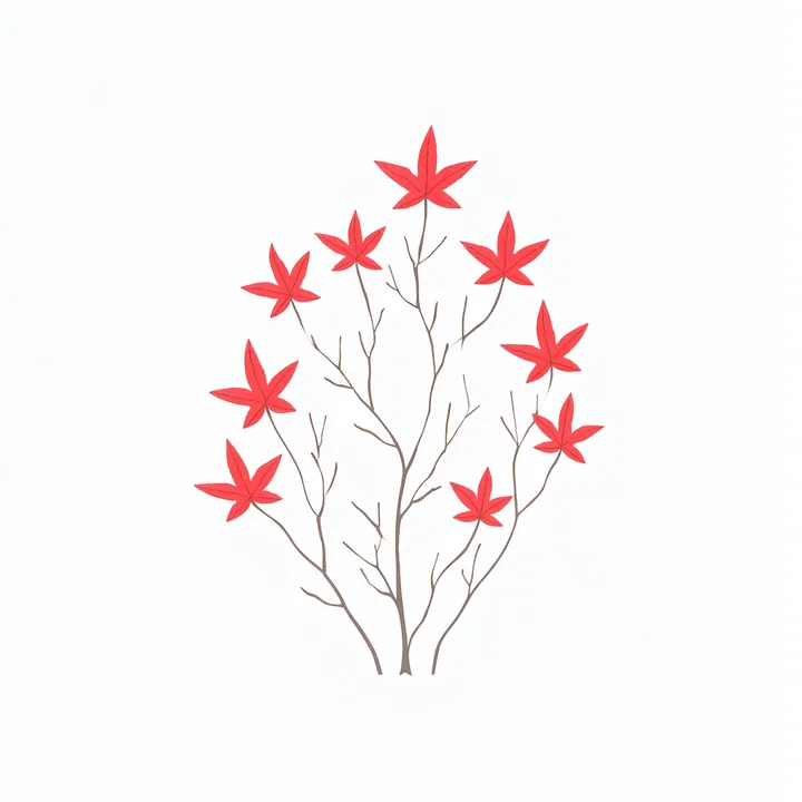 Poinsettia