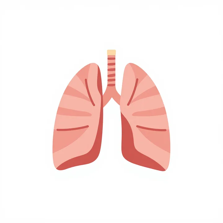 Diaphragm