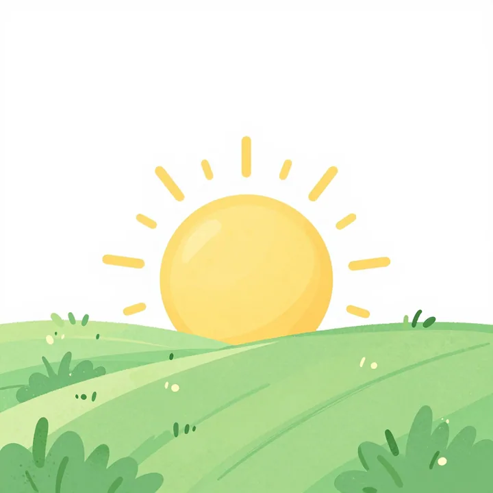 Sunny