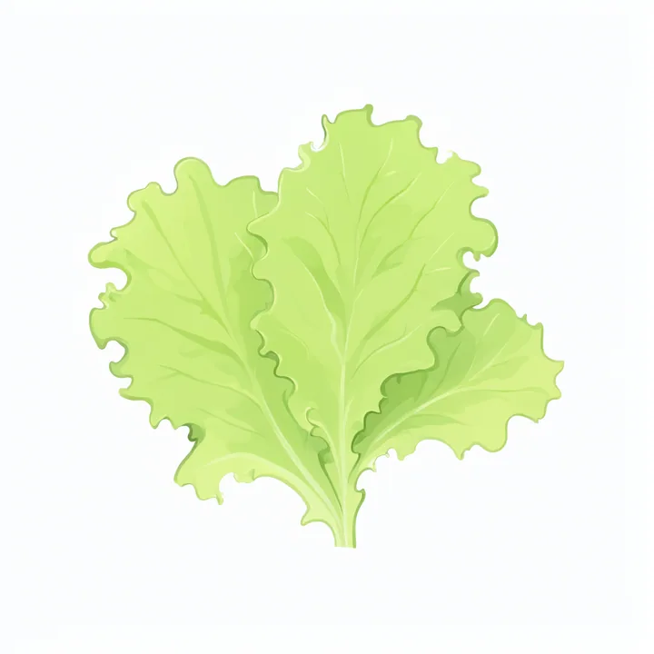 Lettuce