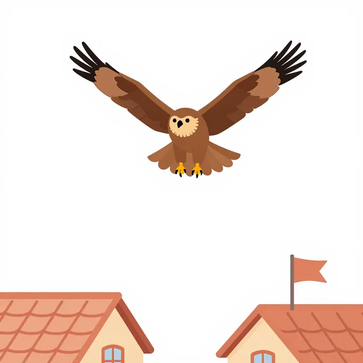 Black kite