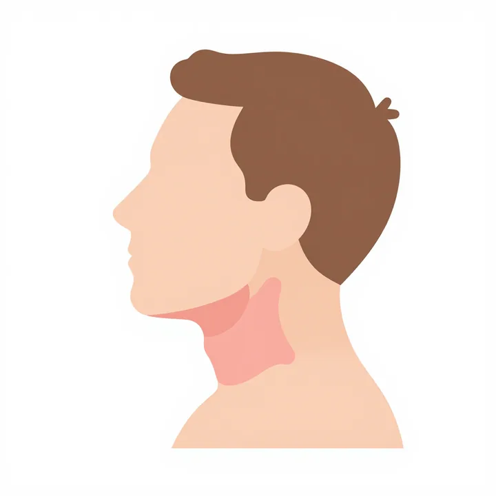 Larynx