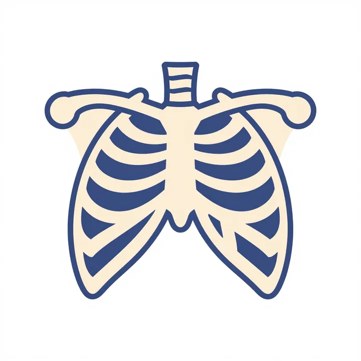 Ribcage