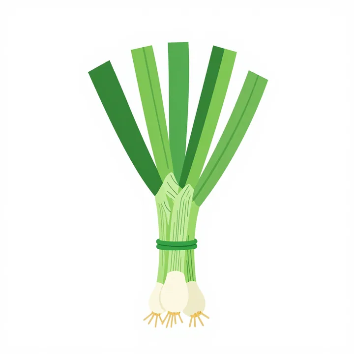 Spring onion