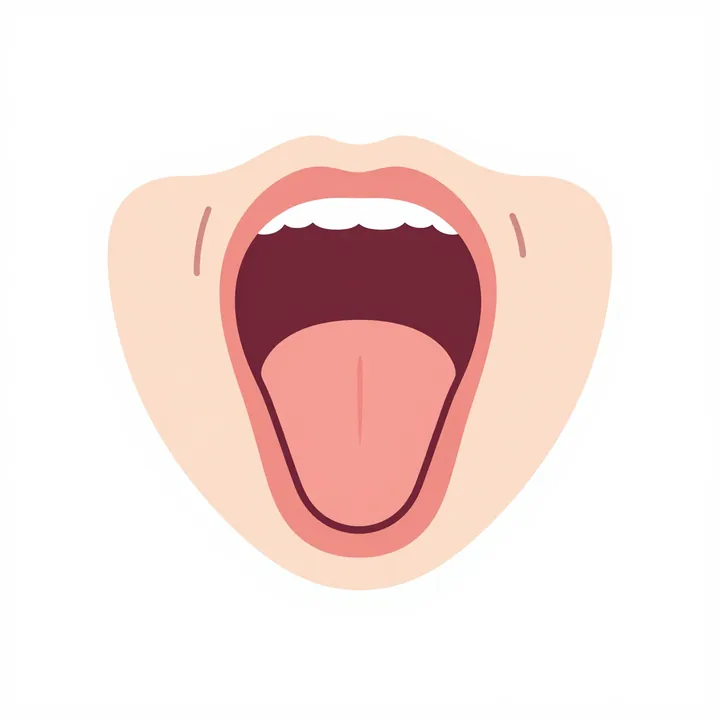 Vocal cords
