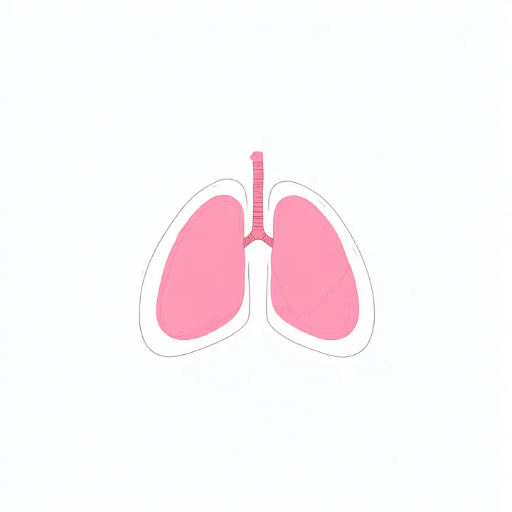 Lung