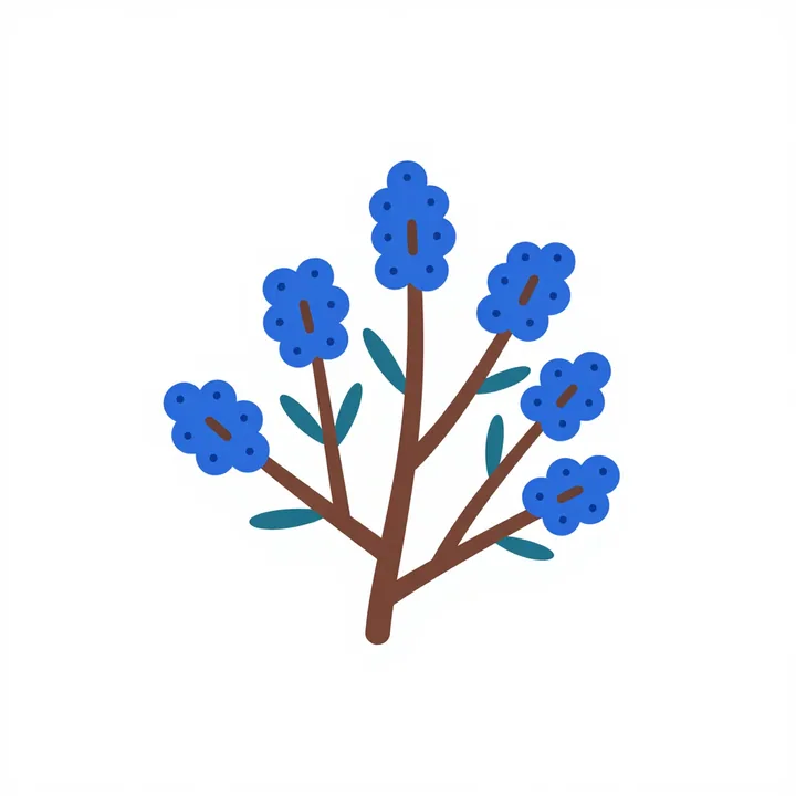 Juniper