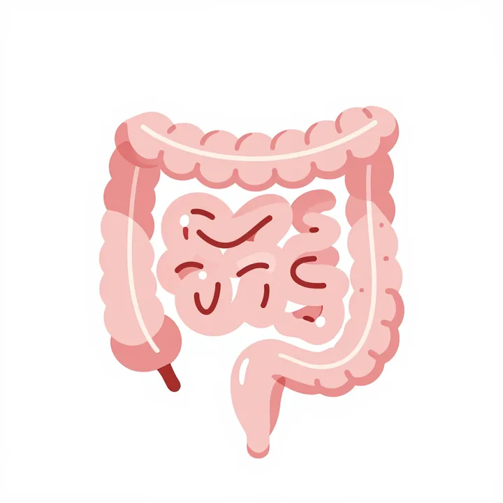 Appendix