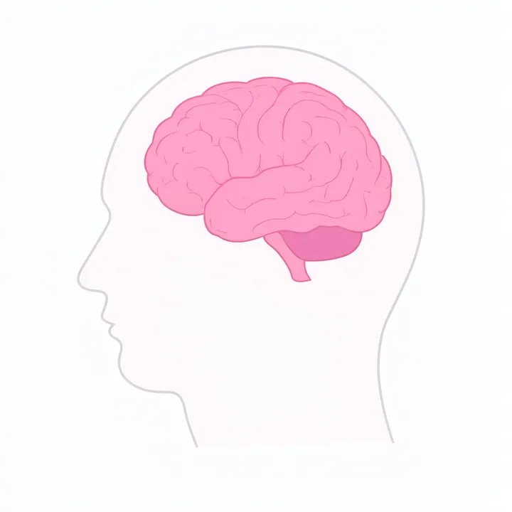 Brain